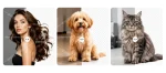 imgi-1-work-sample-photoshop-image-masking-service-model-hair-dog-fur-cat-hair-grasigner-where-creativity-make-detais