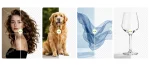 imgi-2-work-sample-photoshop-image-masking-service-multiple-group-photo-transparent-pot-clothing-shoe-model-bag-dog-grasigner-where-creativity-make-detais